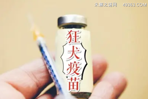 10种情况不需要打狂犬疫苗，打狂犬病疫苗意义