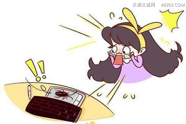 蟑螂为什么不能用脚踩