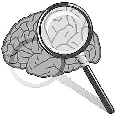 科学家揭示大脑读取记忆过程 破记忆卡壳之谜