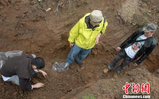 四川洪雅首次发现商周时期遗址——王华遗址