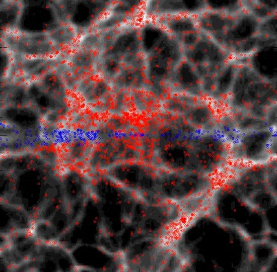 科学家绘制宇宙时空结构 探索冷暗物质之谜