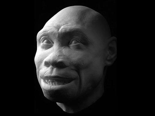 人类祖先什么样子？ 科学家还原人类头骨(组图)