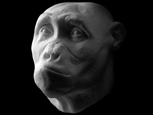 人类祖先什么样子？ 科学家还原人类头骨(组图)