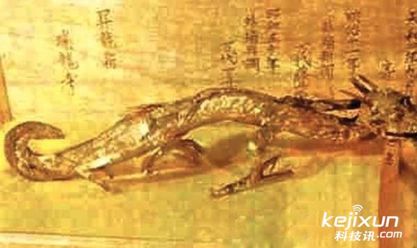 龙