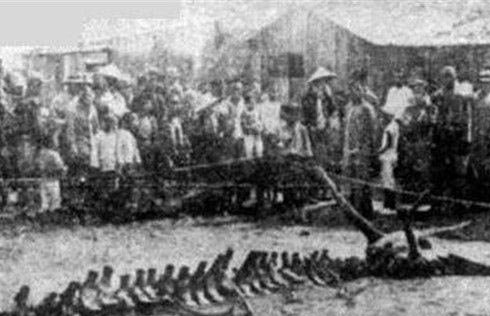 1934年营口坠龙事件真相 龙真的存在吗?