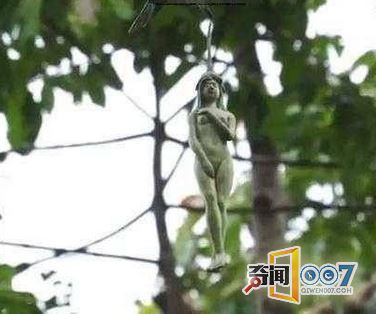 泰国惊现“女人果”