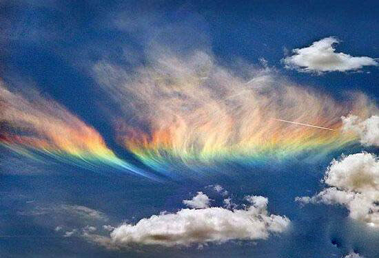 世界上最怪异的天气,空中降鱼百年一见
