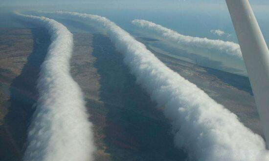 世界上最怪异的天气，空中降鱼百年一见