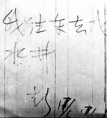彭加木留下的七字谜团
