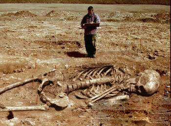 史前巨人骨骼