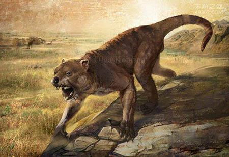 史前巨兽袋狮