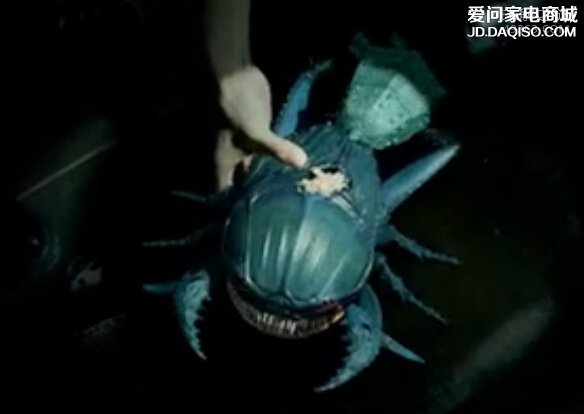 尸蟞