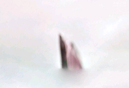 世界上真的有神仙吗？