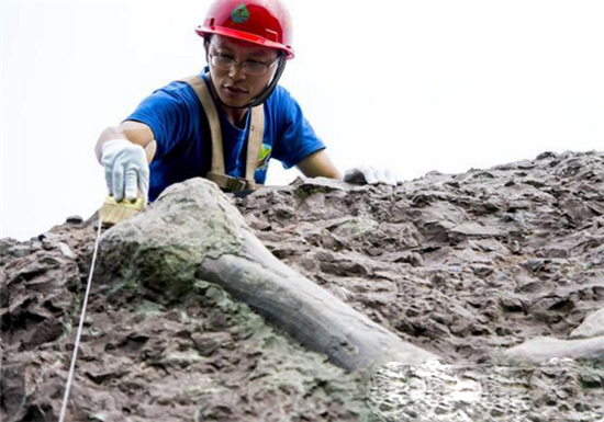 重庆现恐龙化石群 150米恐龙化石墙令人惊喜