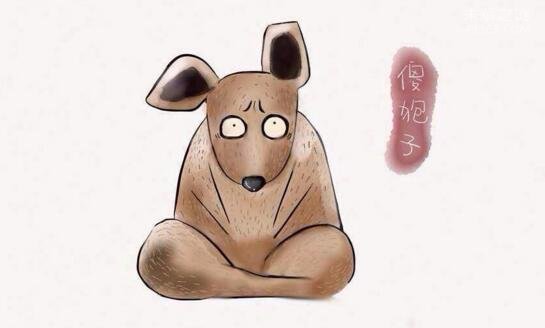 东北四大神兽和八大犊子,扯犊子和滚犊子传遍全国
