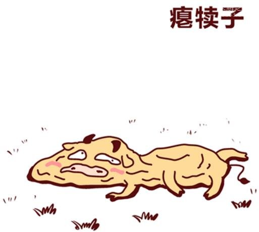 东北四大神兽和八大犊子,扯犊子和滚犊子传遍全国