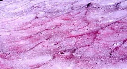 盘点史上最罕见的10大怪异天气现象,自作孽不可活