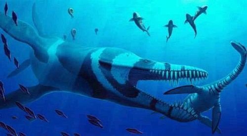 最新发现被称“海洋霸王龙”的新物种 命为科万上龙