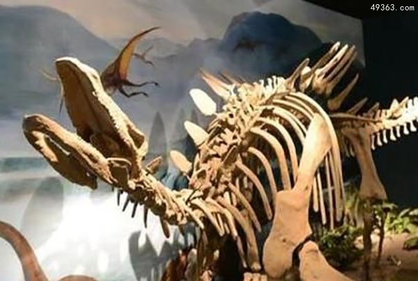 盘点：世界上六大完整古上龙化石 巨型北极怪兽
