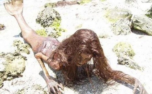 美人鱼并不美 不止恐怖还相当危险?
