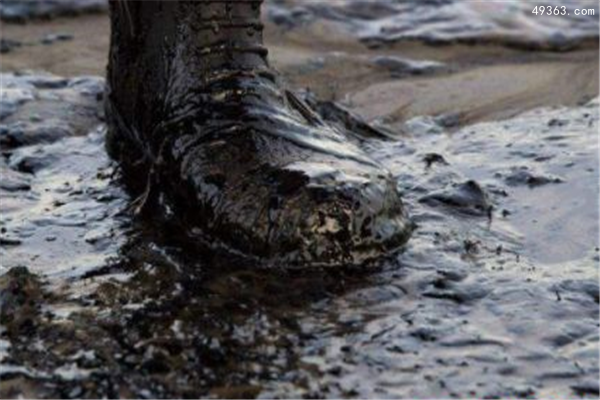 瑙鲁兹油田泄漏事件