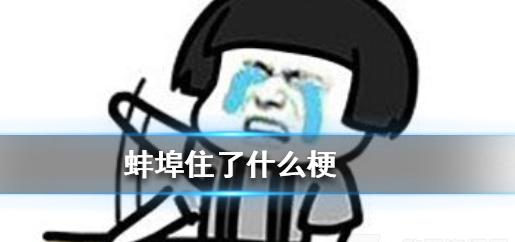 蚌埠住了什么梗出自哪里