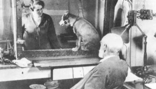 巴甫洛夫的狗实验说明了什么？