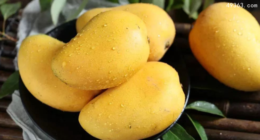 芒果是热性还是凉性?
